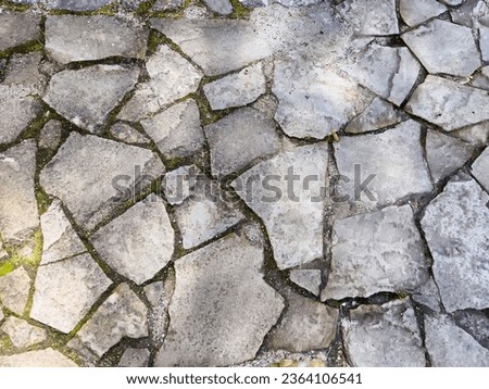 Gray paving stones. Graystone road surface, cobbled road, cobble background. Texture old stone pavement in city. Small plants grows in some places between the cobblestones. Texture background