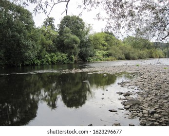 gray pebbles in a river bed in front of the forest