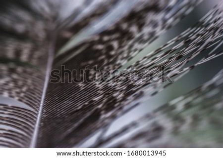 Similar – Image, Stock Photo steel net Steel Hard Gray