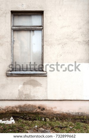 Image, Stock Photo window seat Plant Flower