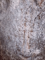 Gray Purple Stone Texture Tree Bark Abstract Painting Patterns 