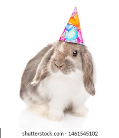 Gray Rabbit  In Birthday Hat Looking At Camera. Isolated On White Background