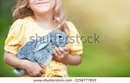 The gray rabbit pressed his ears in the girl's arms