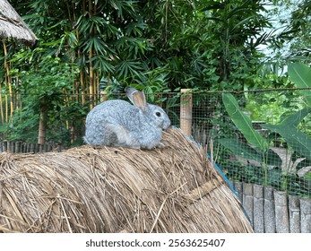 Gray Rabbit Resting on a Straw Roof in a Lush Green Garden - Powered by Shutterstock