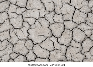 Gray salty cracked soil from drought, global warming, ecological disaster, ecology, close up, natural texture background, copy space