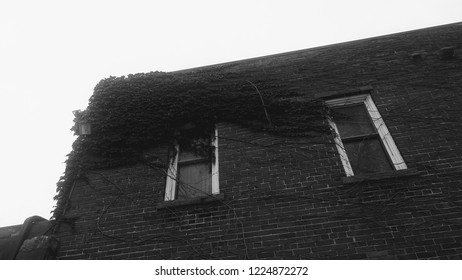 Gray scale Vinage