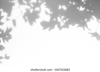 Gray shadow of the hawthorn tree leaves on a white wall. Abstract neutral nature concept blurred background. Space for text. - Shutterstock ID 1467423683