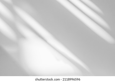 Gray shadow and light blur abstract background on white wall  from window.  Architecture stripe dark shadows indoor in room  background, monochrome, black and white
