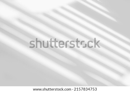 Gray shadow and light blur abstract background on white wall  from window.  Architecture stripe dark shadows indoor in room  background, monochrome, shadow overlay effect