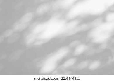 Gray shadow of natural leaves tree and tree trunk falling on white concrete wall for background design and wallpaper - Shutterstock ID 2269944811