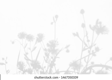 Gray Shadows Of The Flowers And Delicate Grass On A White Wall. Abstract Neutral Nature Concept Background. Space For Text. Blurred, Defocused.