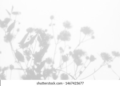 Gray Shadows Of The Flowers And Delicate Grass On A White Wall. Abstract Neutral Nature Concept Background. Space For Text. Blurred, Defocused.