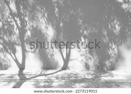 Gray shadows of leaves, plants on the wall and sidewalk. Tree silhouettes. Street, outdoor, nature. Black white background for design. 3d rendering. Space for product, object. Show, display, podium.