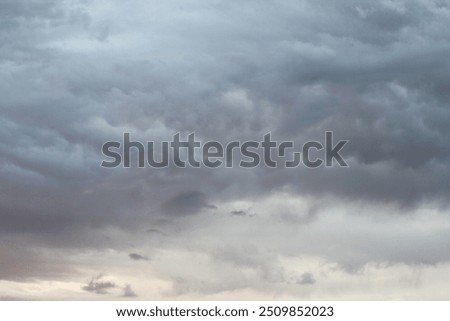 Similar – Image, Stock Photo Spring in grey Gloomy