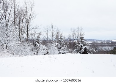 Gray Sky Over A Snowy Hillside