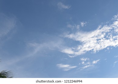 Gray sky, white cloud