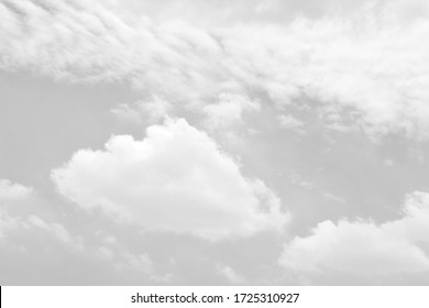 Fluffy Images Stock Photos Vectors Shutterstock