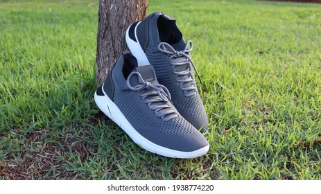 gray sneakers on green lawn