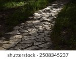 Gray stone path in the shadow, surrounded by green grass.An outdoor shot, greenery, forest.Cobblestone path.Belgrade, Serbia.