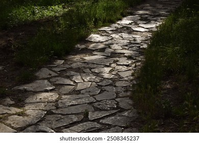 Gray stone path in the shadow, surrounded by green grass.An outdoor shot, greenery, forest.Cobblestone path.Belgrade, Serbia.
