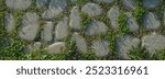 Gray stone pebble path, background with bunch of green grass