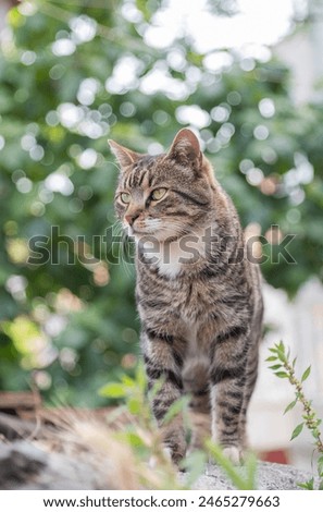 Similar – Image, Stock Photo Stray light in the staircase