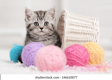 Gray striped kitten sitting next to a basket ball of yarn in the interior