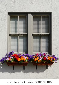 Gray Stucco Window with Marigold, Purple Petunia and Geranium Redwood Window Boxes