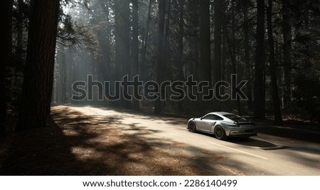 

Gray supercar seen from behind hurtle along the paved roads of a shadowy forest