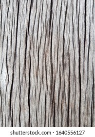 Gray Teakwood Texture Tropical Nature  