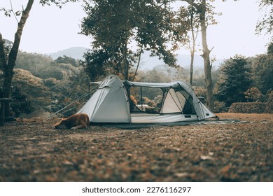 Gray tent on the grass in the forest The view behind is the mountain in the morning. Camping, Travel and holiday concept.