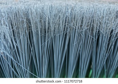 bristles