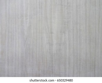 Gray Textured Background                        