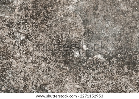 Gray textured cement wall background with fine concrete chips. Construction backgrounds.
