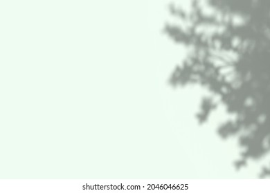 Gray Tree Shadow On A Light Green Wall. Abstract Neutral Nature Concept Blurred Background With Copy Space For Text. Overlay Effect For Photo