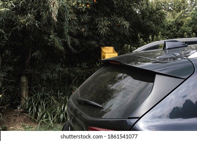 Gray truck trunk black tones from above with background of bushes and bamboo flowers and yellow trash can