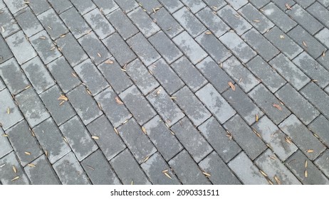 Gray Wet Paving Slabs Covered With Fine Yellow Foliage In Autumn. View From Above. City Sidewalk