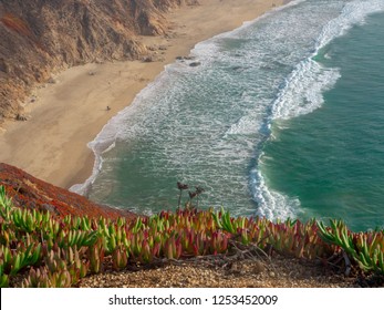 Gray Whale Cove State Beach