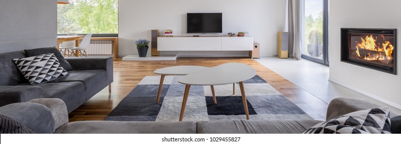 Gray And White, Family Living Room With Fireplace, Tv And Sofa, Panorama