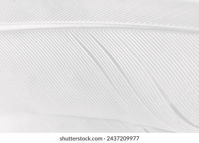Gray white feather wooly pattern texture background