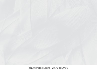 Gray white feather wooly pattern texture background