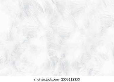 Gray white feather wooly pattern texture background