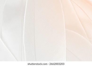 Fondo textura  lanudo
