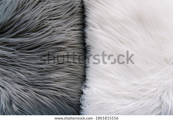 Gray and White Fur\
Texture