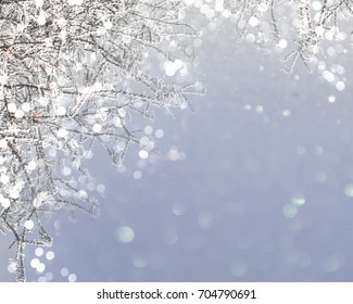 Gray Winter Shining Background Frosty Branches Stock Photo 704790691 ...