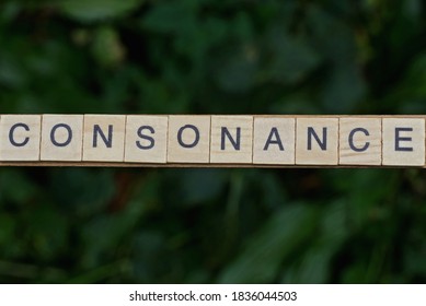 gray word consonance made of wooden square letters on green background - Shutterstock ID 1836044503