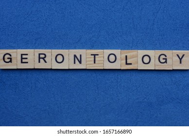 Gray Word Gerontology From Small Wooden Letters On A Blue Table