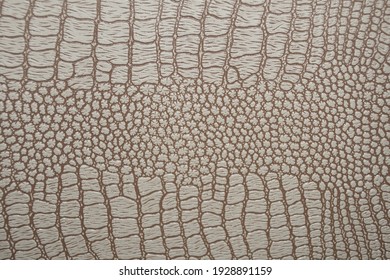 Gray-brown Snake Or Crocodile Skin: Scale Pattern, Genuine Reptile Leather Product, Luxury Fabric