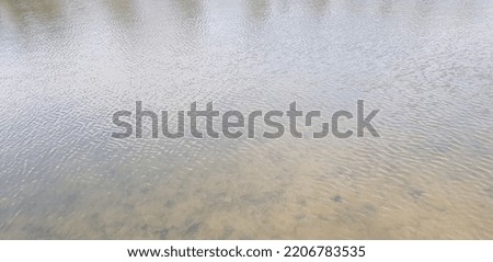 The gray-brown surface of the water of the lake with slight ripples from the light wind and small shadows of coastal trees on the water (angle, texture).