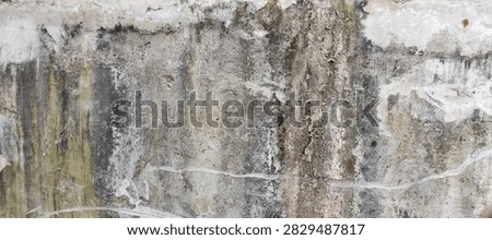 grayish paper background with black mold, taken from the front position